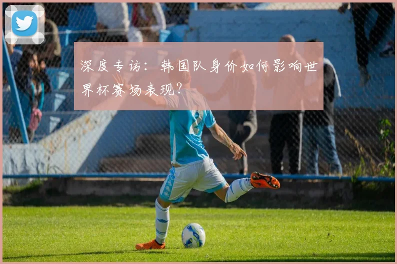 深度专访：韩国队身价如何影响世界杯赛场表现？